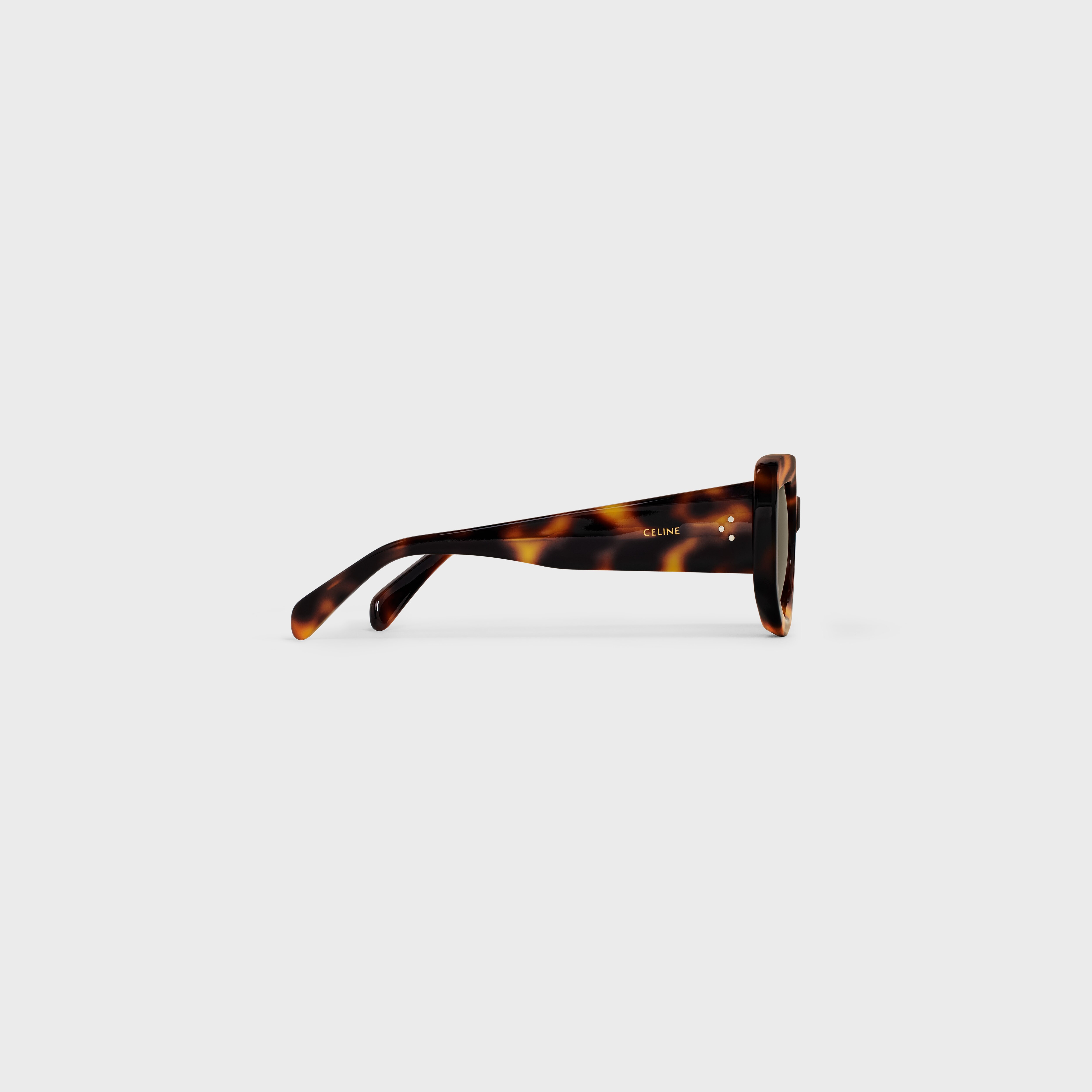 Graphic S277 Sunglasses in Acetate